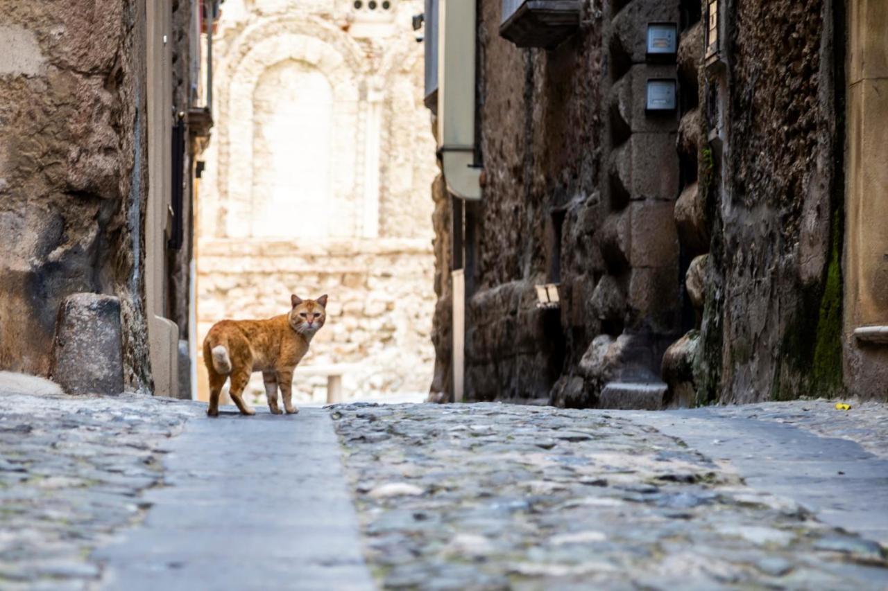Suites Pastis Tropea - Boutique B&B By Kalavria Holidays Buitenkant foto